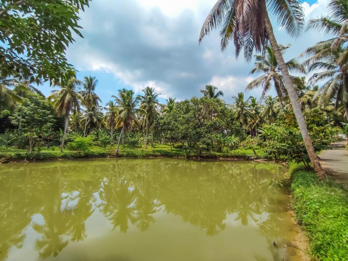 Peacock Village Pinnawala - Offer Alert! Elephant Welfare Program Exterior foto