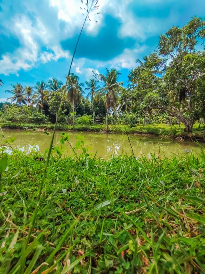 Peacock Village Pinnawala - Offer Alert! Elephant Welfare Program Exterior foto