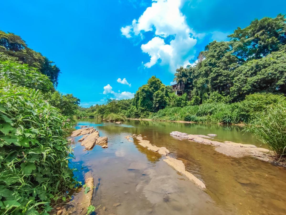 Peacock Village Pinnawala - Offer Alert! Elephant Welfare Program Exterior foto