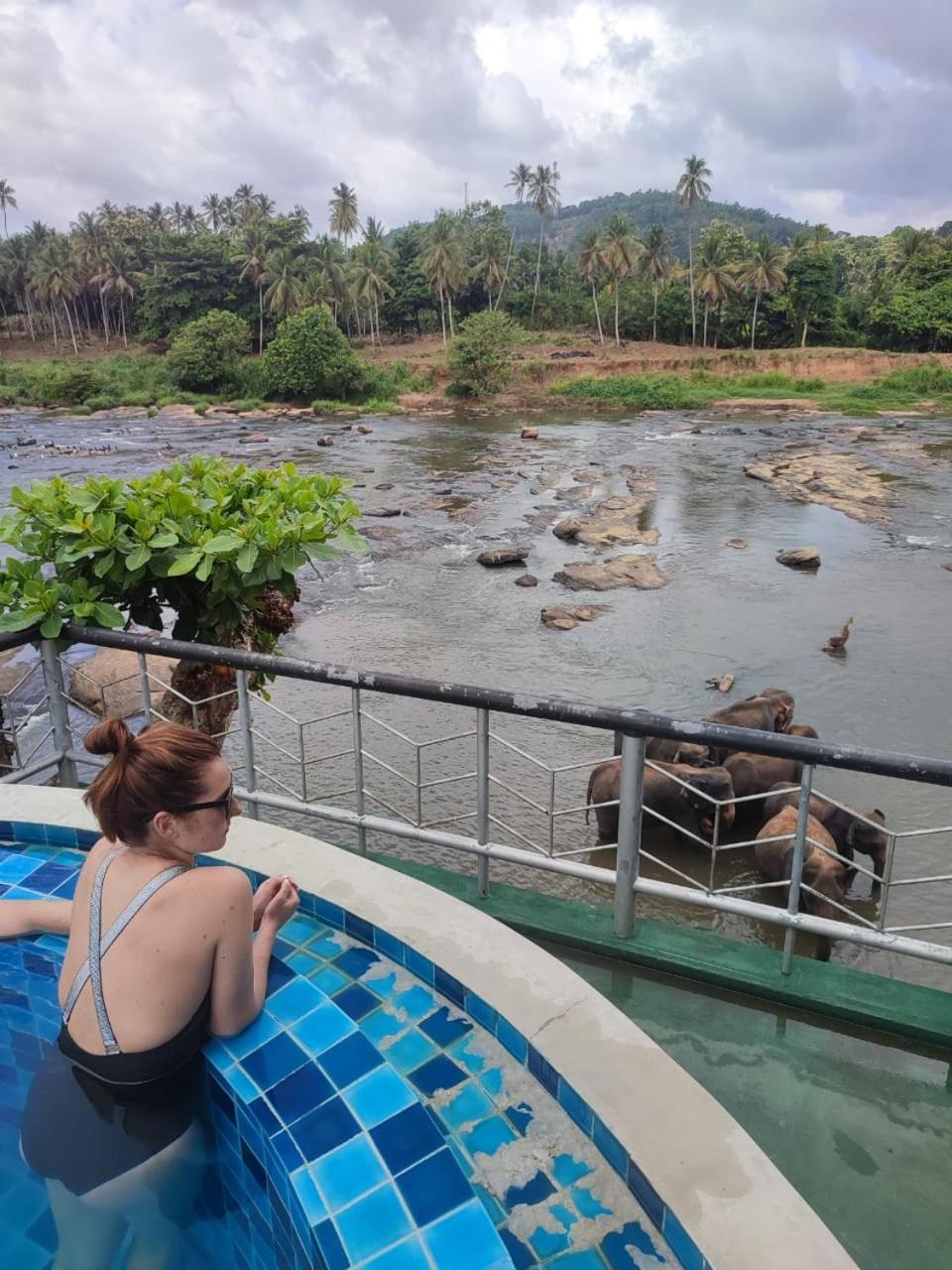 Peacock Village Pinnawala - Offer Alert! Elephant Welfare Program Exterior foto